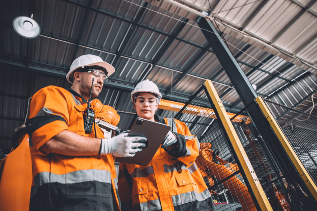 what is the role of safety professionals in various industries?
