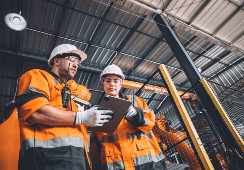 what is the role of safety professionals in various industries?